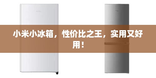小米小冰箱，性价比之王，实用又好用！