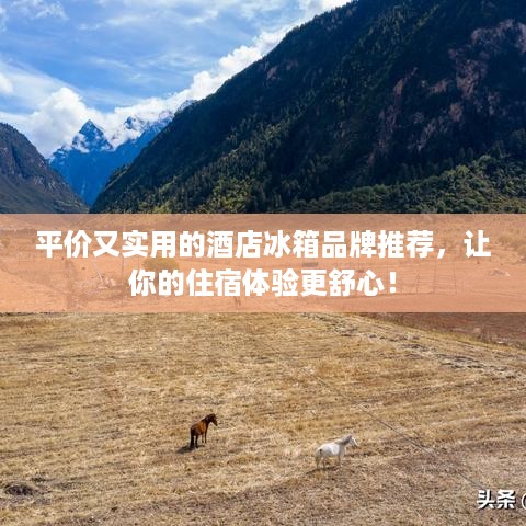 平价又实用的酒店冰箱品牌推荐，让你的住宿体验更舒心！