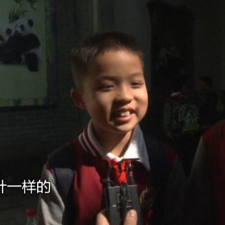 揭秘茶叶熊猫标志，这个神秘品牌背后的故事