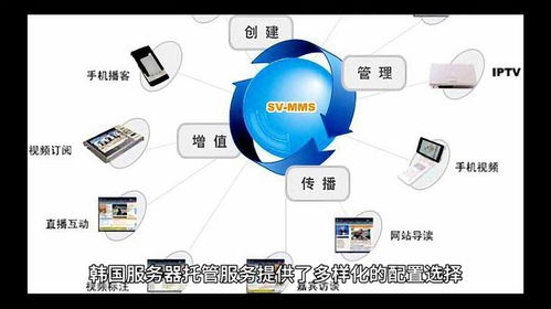 俄罗斯租赁服务器的优势与案例解析