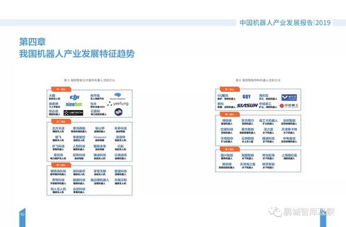 非洲南非服务器租赁，企业成长的加速器