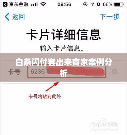 白条闪付套出来商家案例分析