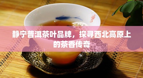 静宁普洱茶叶品牌，探寻西北高原上的茶香传奇