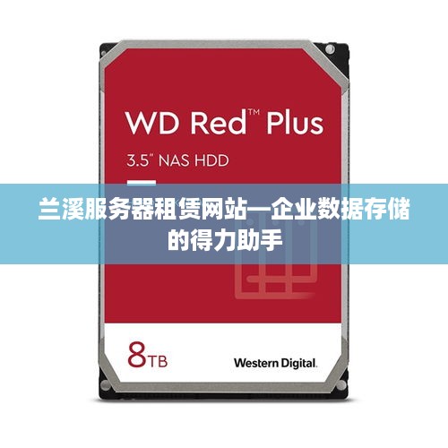 兰溪服务器租赁网站—企业数据存储的得力助手