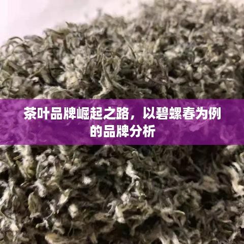 茶叶品牌崛起之路，以碧螺春为例的品牌分析
