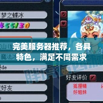 完美服务器推荐，各具特色，满足不同需求