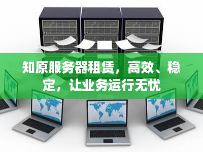 知原服务器租赁，高效、稳定，让业务运行无忧