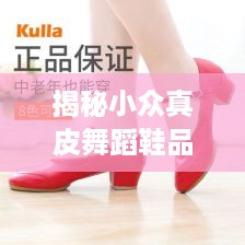 揭秘小众真皮舞蹈鞋品牌，舞动你的独特风采！