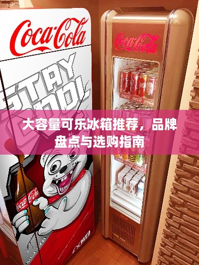 大容量可乐冰箱推荐，品牌盘点与选购指南