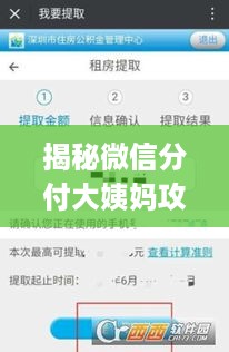 揭秘微信分付大姨妈攻略，如何巧妙套取资金