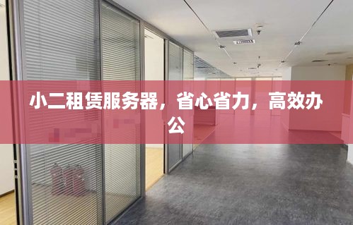 小二租赁服务器，省心省力，高效办公