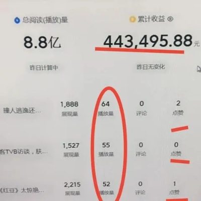 大姨妈抖音月付能否套出来？案例分析与揭秘！
