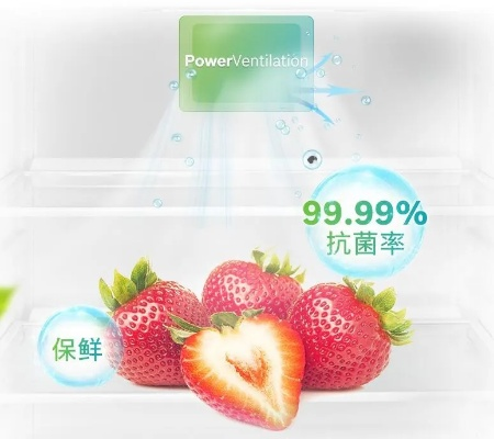 冰箱里的甜蜜守护—平价水果保鲜品牌推荐