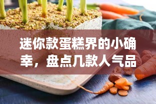 迷你款蛋糕界的小确幸，盘点几款人气品牌及推荐