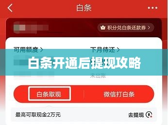 白条开通后提现攻略