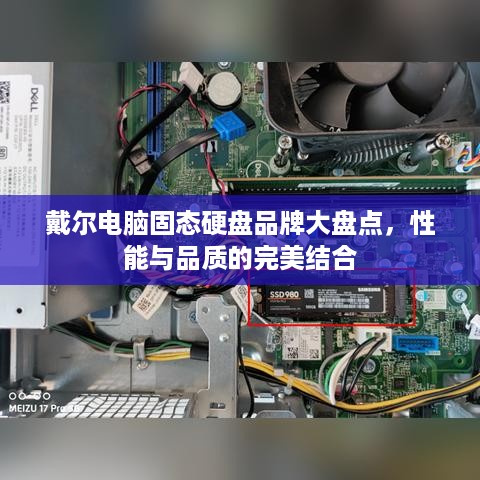 戴尔电脑固态硬盘品牌大盘点，性能与品质的完美结合