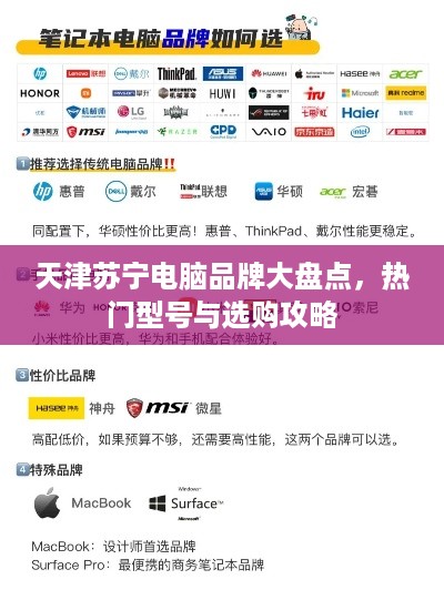 天津苏宁电脑品牌大盘点，热门型号与选购攻略