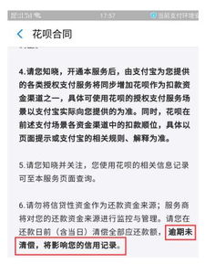 白条套出来大揭秘