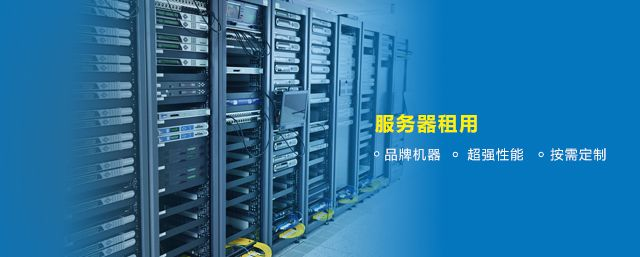 如皋国产服务器租赁服务概览