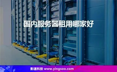 如皋国产服务器租赁服务概览