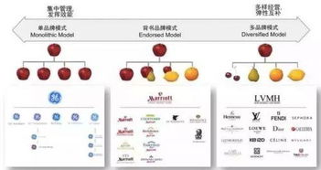 茶叶品牌如何巧妙打开市场，四大策略助你一臂之力！