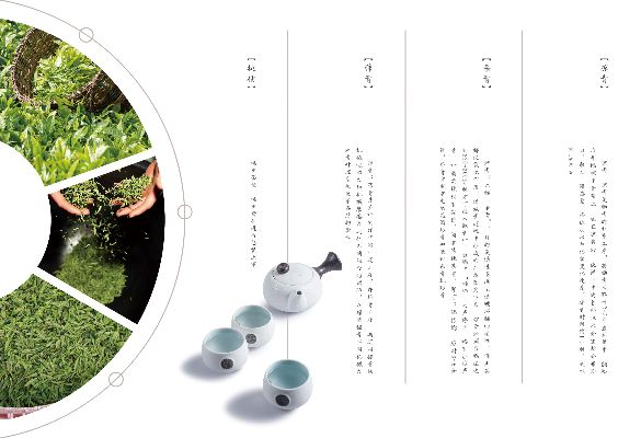 茶叶品牌理念排版方案，打造独特品牌文化，引领茶艺生活新风尚