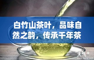 白竹山茶叶，品味自然之韵，传承千年茶香