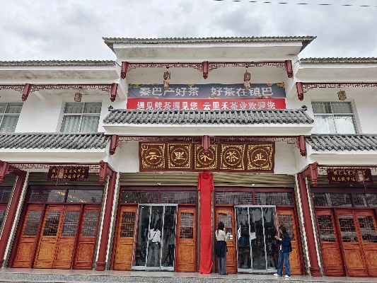 巴东茶叶品牌店铺大盘点，品味茶香，尽在这一览！