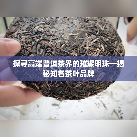 探寻高端普洱茶界的璀璨明珠—揭秘知名茶叶品牌