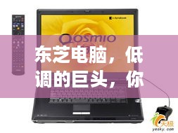 东芝电脑，低调的巨头，你了解几线品牌背后的故事？
