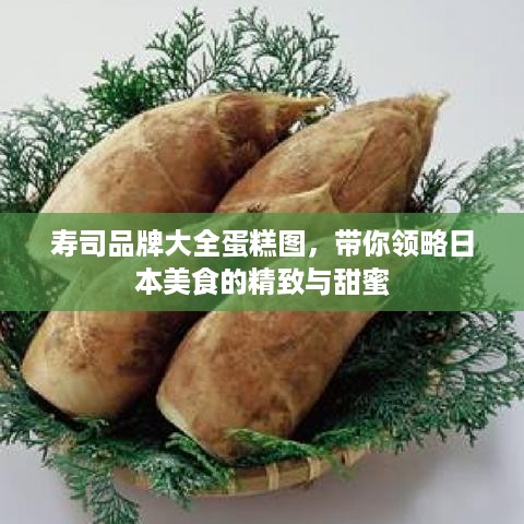 寿司品牌大全蛋糕图，带你领略日本美食的精致与甜蜜