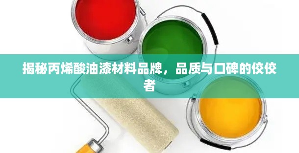 揭秘丙烯酸油漆材料品牌，品质与口碑的佼佼者