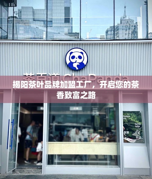 揭阳茶叶品牌加盟工厂，开启您的茶香致富之路
