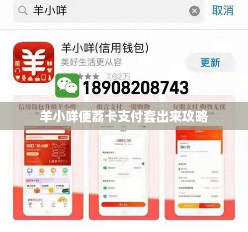 羊小咩便荔卡支付套出来攻略