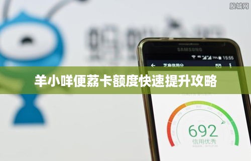 羊小咩便荔卡额度快速提升攻略