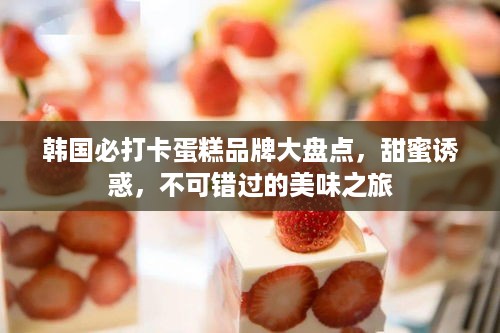 韩国必打卡蛋糕品牌大盘点，甜蜜诱惑，不可错过的美味之旅