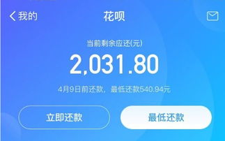 揭秘花呗提现攻略，额度飙升的秘密武器