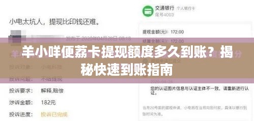 羊小咩便荔卡提现额度多久到账？揭秘快速到账指南