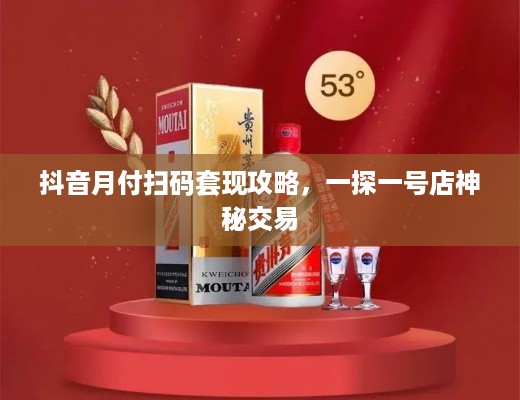 抖音月付扫码套现攻略，一探一号店神秘交易