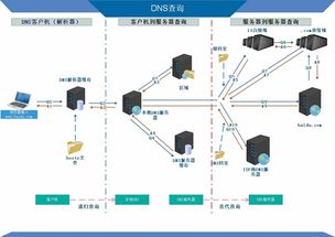 绍兴dns服务器租赁服务概览
