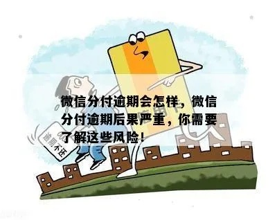 小微信分付能套出来吗？案例分析与风险揭秘