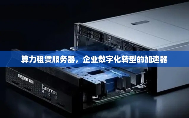 算力租赁服务器，企业数字化转型的加速器
