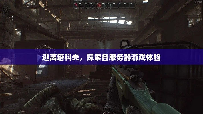 逃离塔科夫，探索各服务器游戏体验