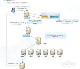 掌握在线服务器租赁的实用指南