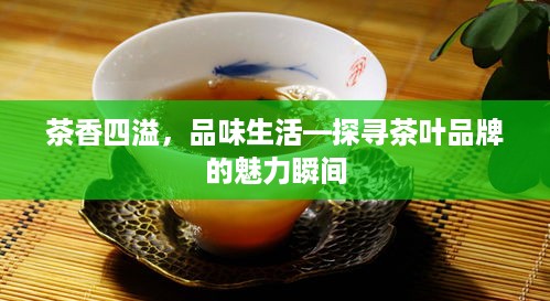 茶香四溢，品味生活—探寻茶叶品牌的魅力瞬间