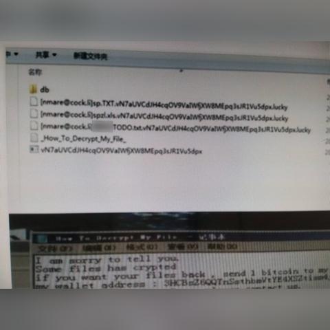 温州服务器租赁网站的全方位解读