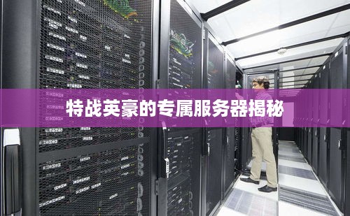 特战英豪的专属服务器揭秘