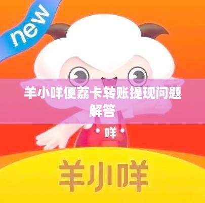 羊小咩便荔卡转账提现问题解答