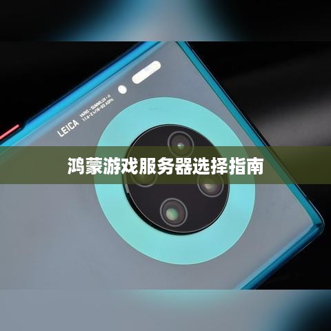 鸿蒙游戏服务器选择指南