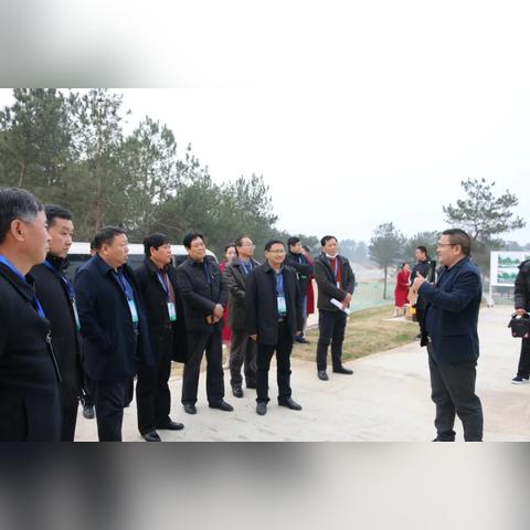 进度团服务器推荐，优劣对比与案例分析